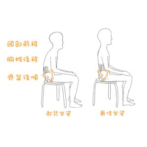 人因肌肉骨骼＿駝背姿勢與最佳坐姿